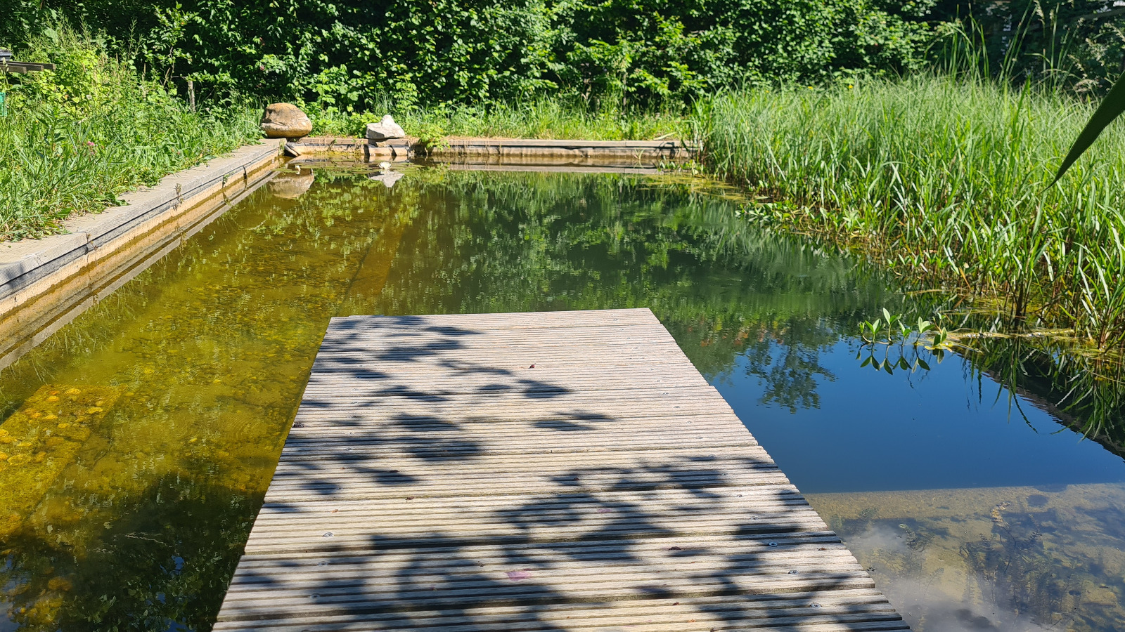 Garten 3 – Pflanzenkläranlage